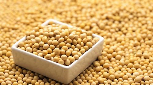 路透：中國取消逾13萬噸美國大豆訂單　罕見買入更貴的巴西大豆