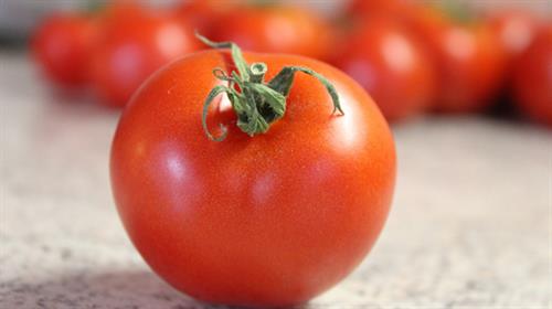 什麼是胃癌？  研究發現番茄提取物可抑制胃癌細胞的生長