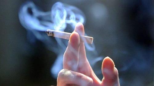 請停止吸煙　吸煙可導致肺癌　也可使你陽痿