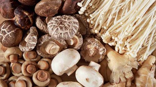 研究發現食用蘑菇有助降低抑鬱症風險  蘑菇5大神奇功效你要知