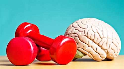 運動對大腦的5個益處