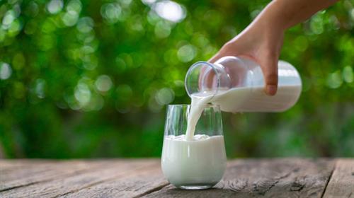 喝牛奶會增加心臟病風險？ 研究: 全脂奶「不傷心」