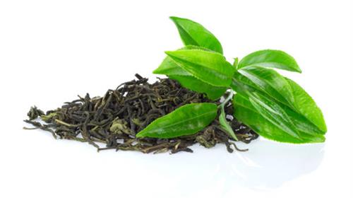 散裝綠茶葉vs綠茶包  哪個更好？
