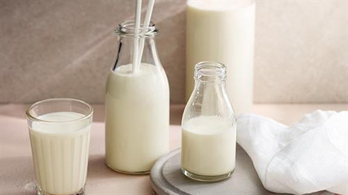早上不能空腹喝牛奶? 睡覺前喝牛奶的效果較好? 喝牛奶的6大注意事項