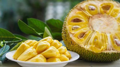 不可不知菠蘿蜜的11大健康益處